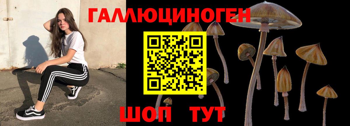 Галлюциногенные грибы Magic Shrooms  Вход с VPN  Галлюциногенные грибы Psilocybe  наркотики  Кудымкар 